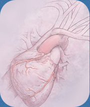 Saying 'Om' Before Surgery